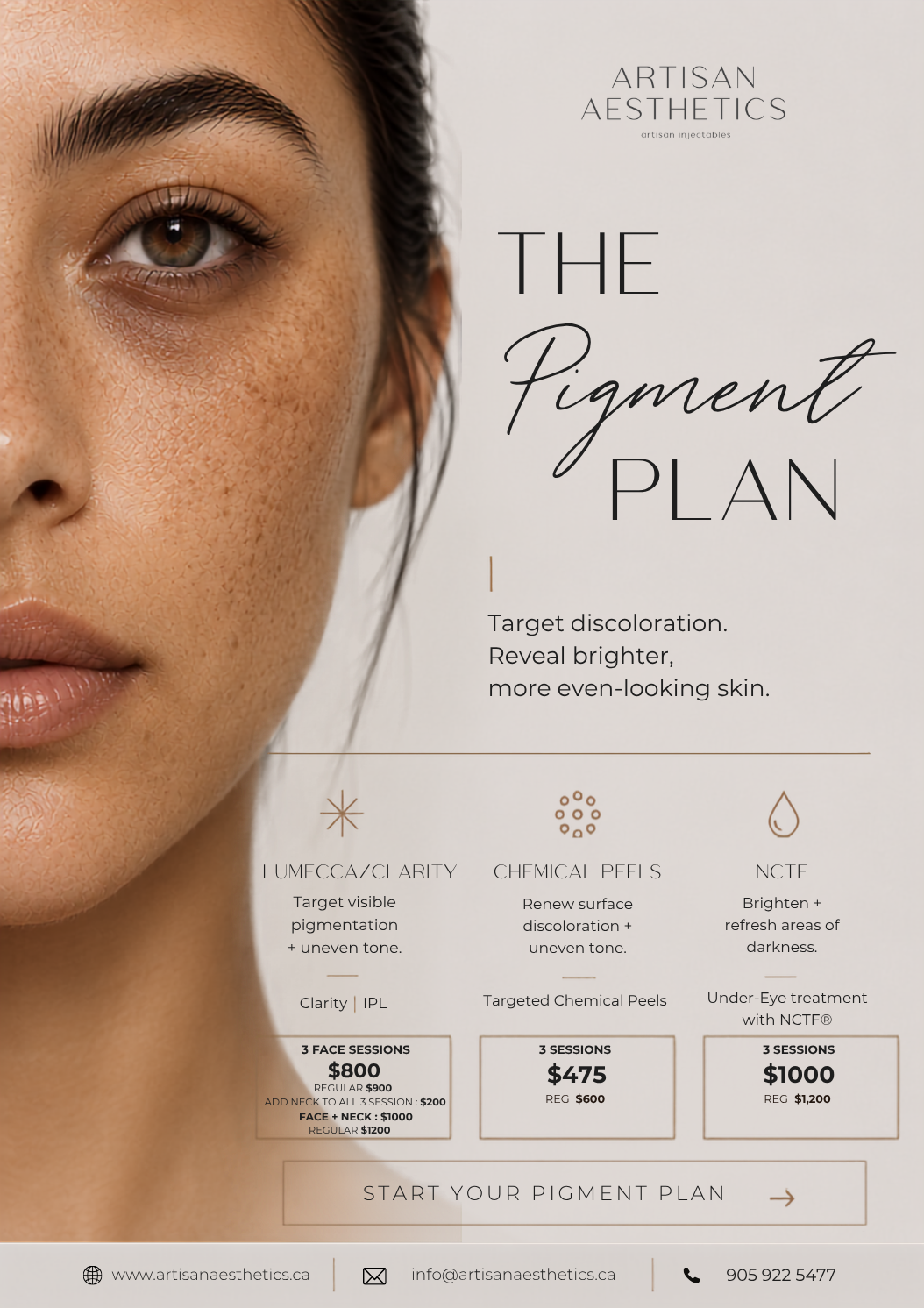 THE PIGMENT PLAN