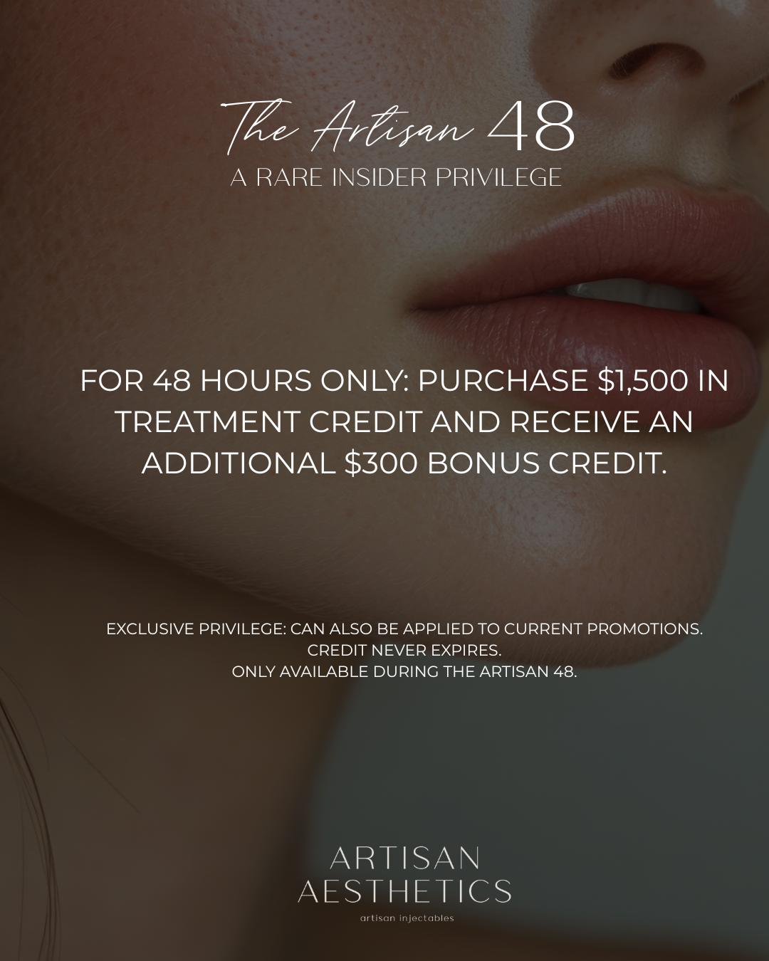 Artisan 48