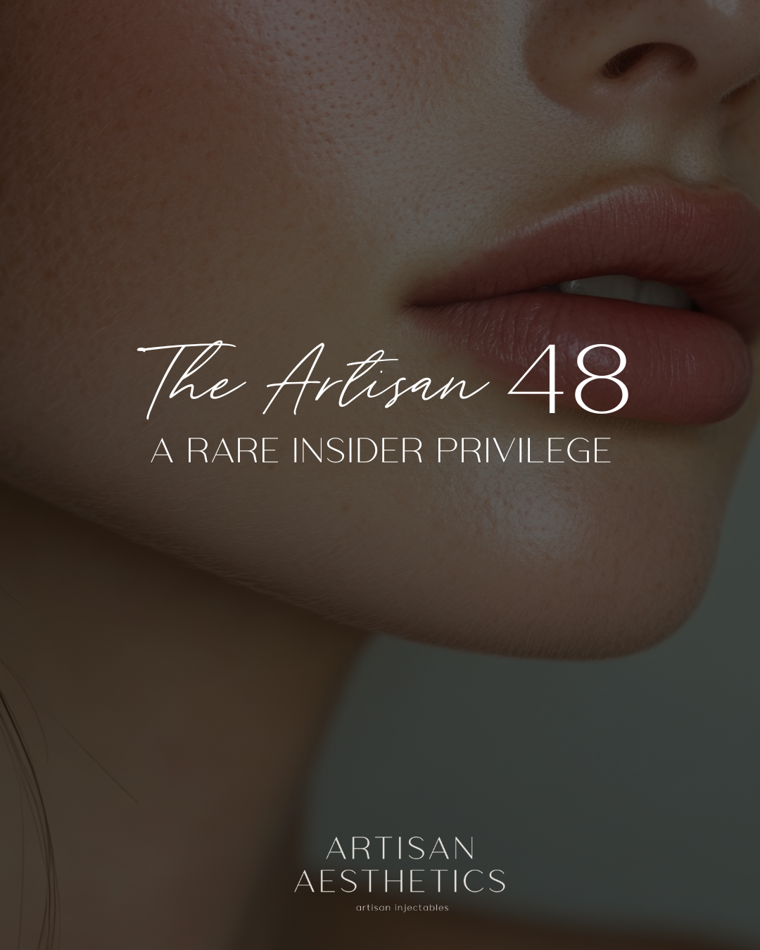 Artisan 48