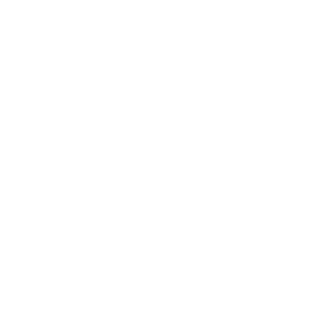 Artisan Aesthetics Logo